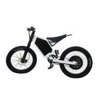 2021 hot selling rad power bikes 48v mini electric bike 3000 basic bomber bike